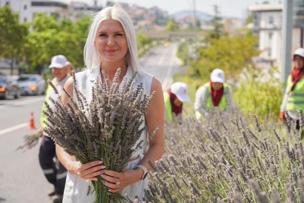 Bilecik lavanta Melek Mizrak Subasi