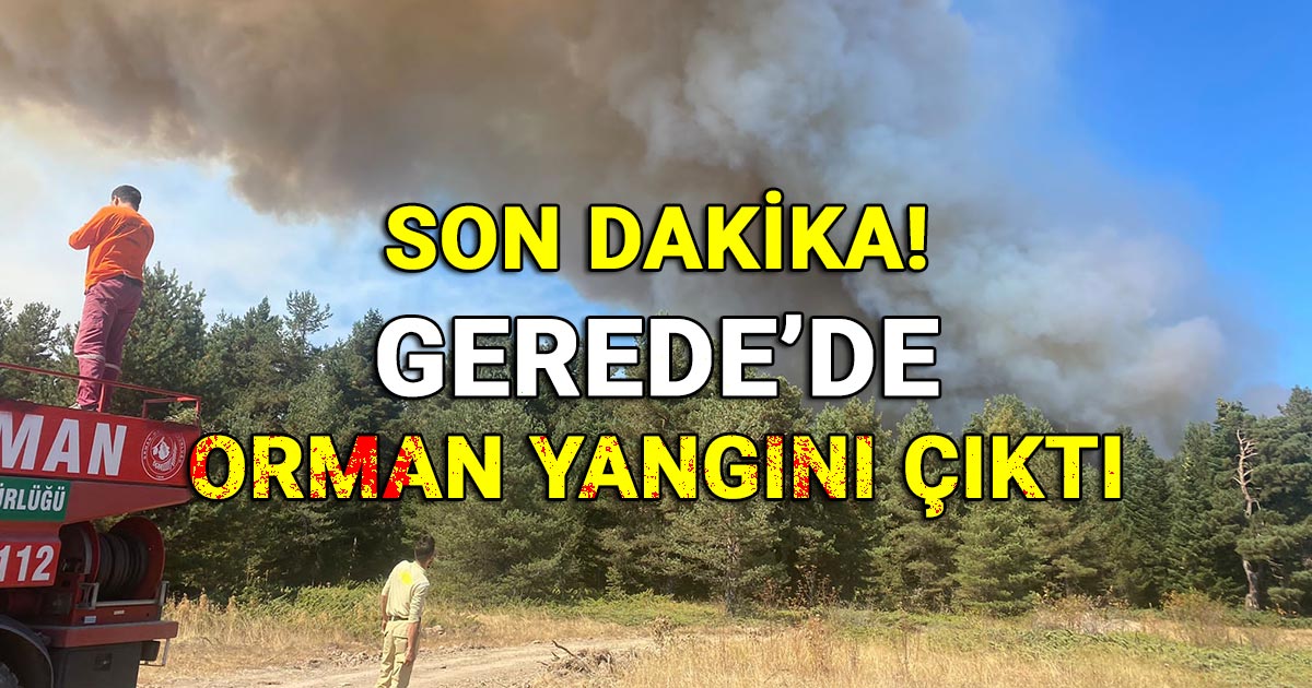 Gerede'de orman yangını çıktı!