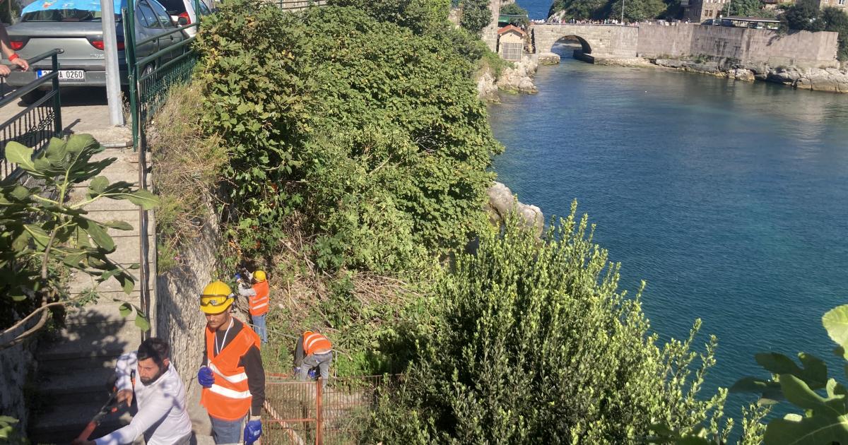 binlerce yillik tarihi amasra kalesine zarar veren kokler temizleniyor 3hmZMKeQ.jpg