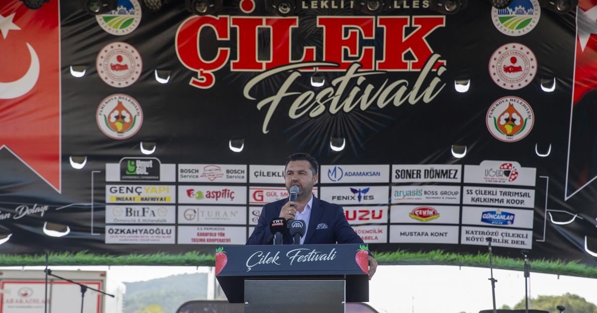 sakaryada bir ilk cilek festivali duzenlendi jEZP78QI.jpg