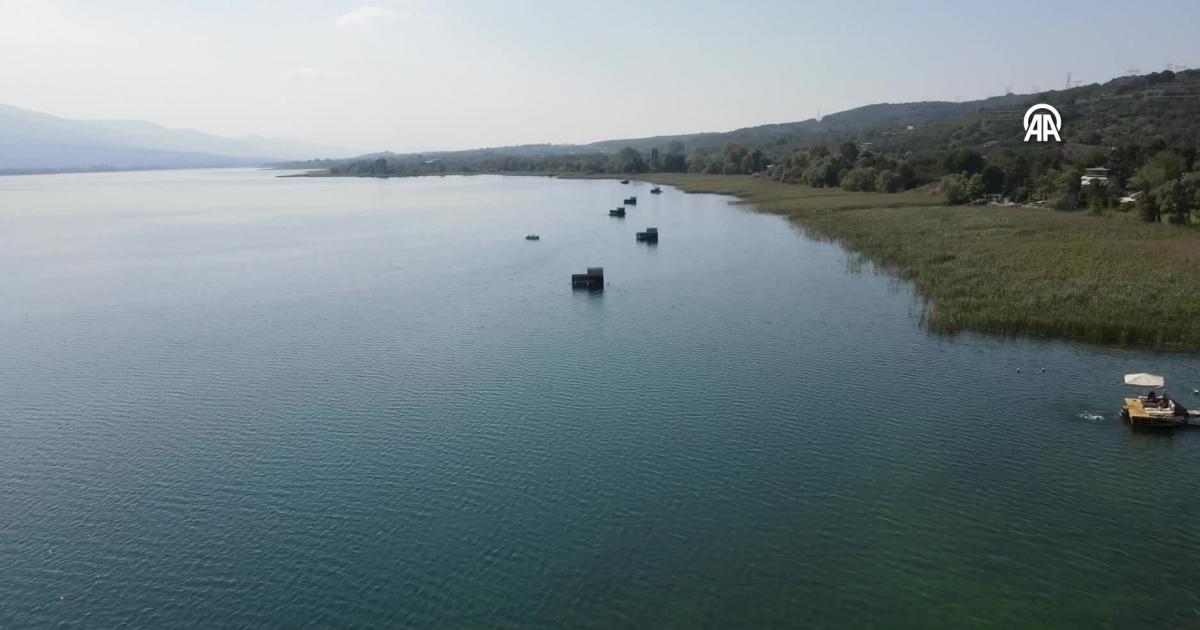 sapanca golundeki hayalet aglar temizlenecek 1H53jmKC.jpg