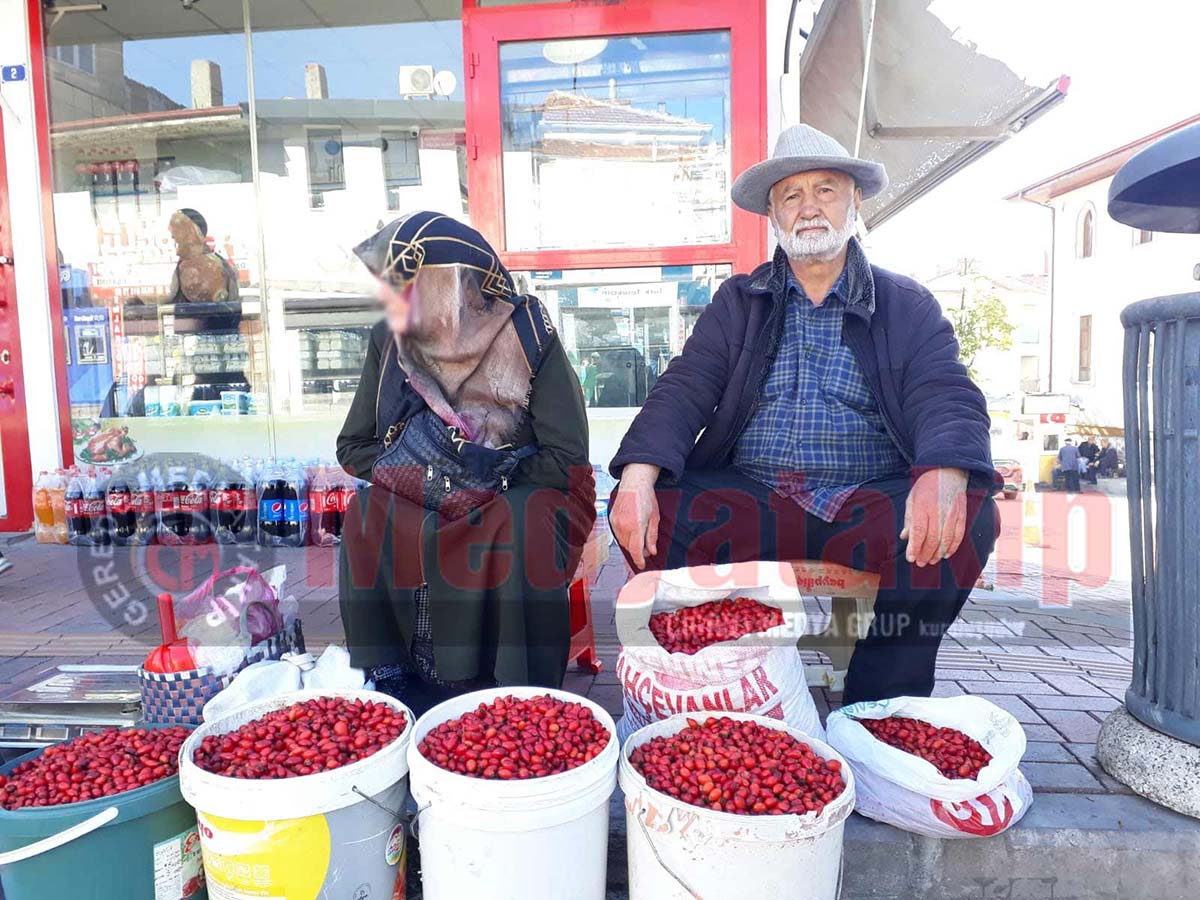 Gerede kusburnu alic satis tezgahi 3