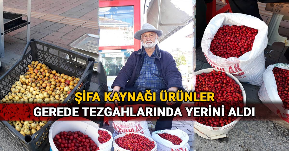 Kuşburnu ve alıç satış tezgahı ve satıcı