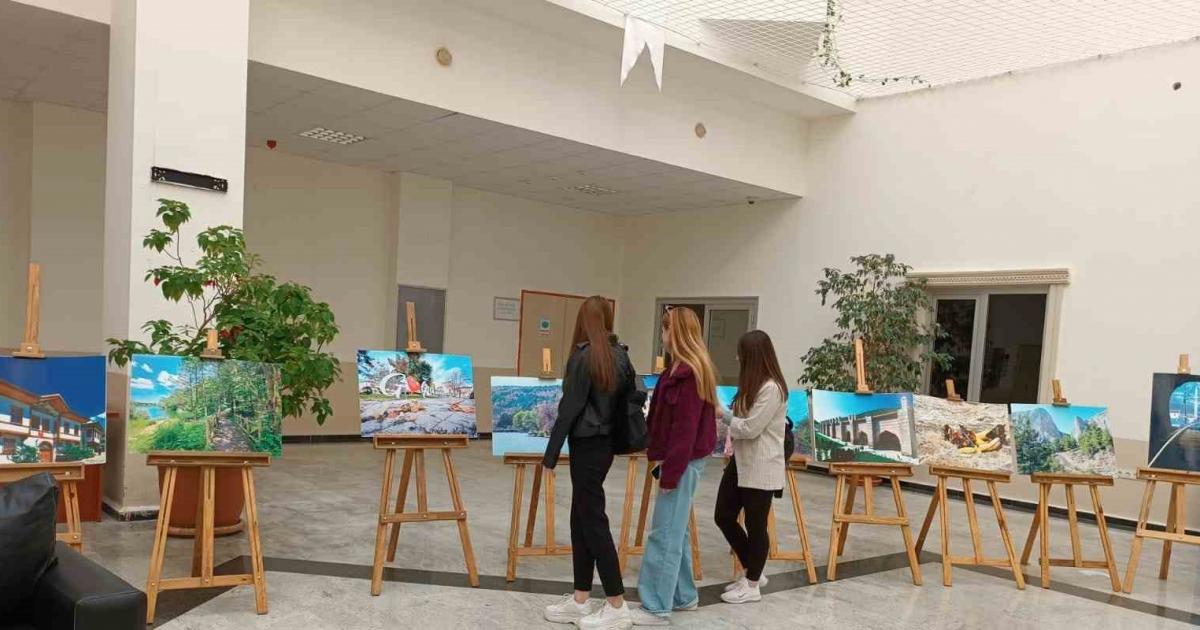 bilecik il kultur ve turizm mudurlugunun resim ve fotograf sergisi beklenen ilgiyi gormedi 248NMNSc.jpg