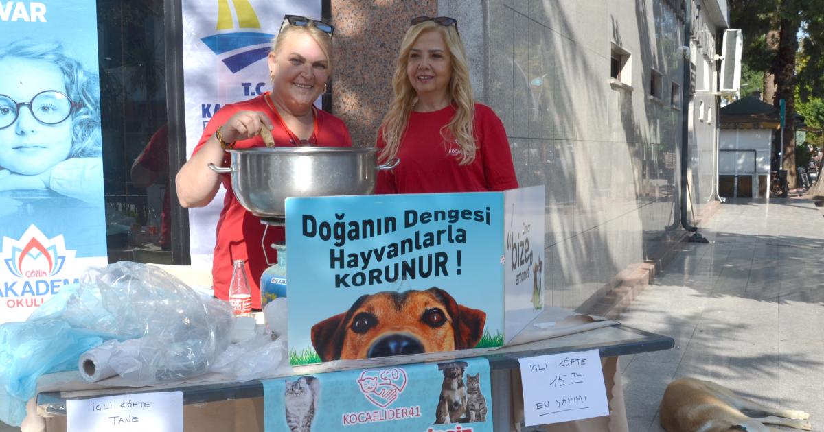 karamurselde hayvanlar yararina kermes duzenlendi ABH7G82u.jpg