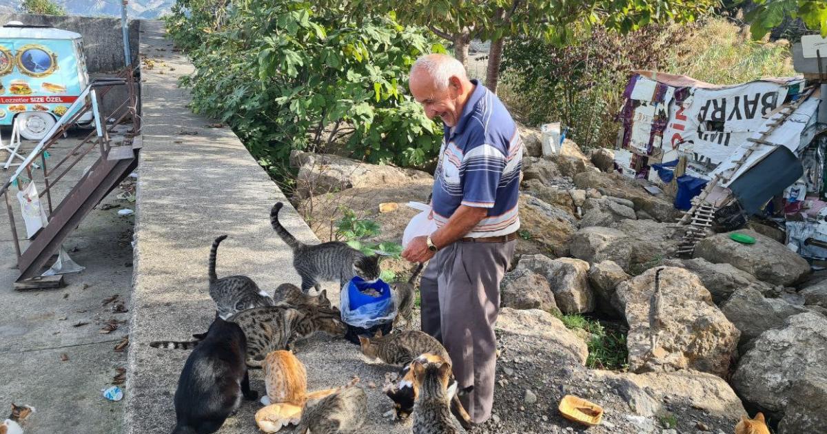 zonguldakli vatandas kedilerin dedesi oldu maasini onlar icin harciyor qKSCu7Ih.jpg