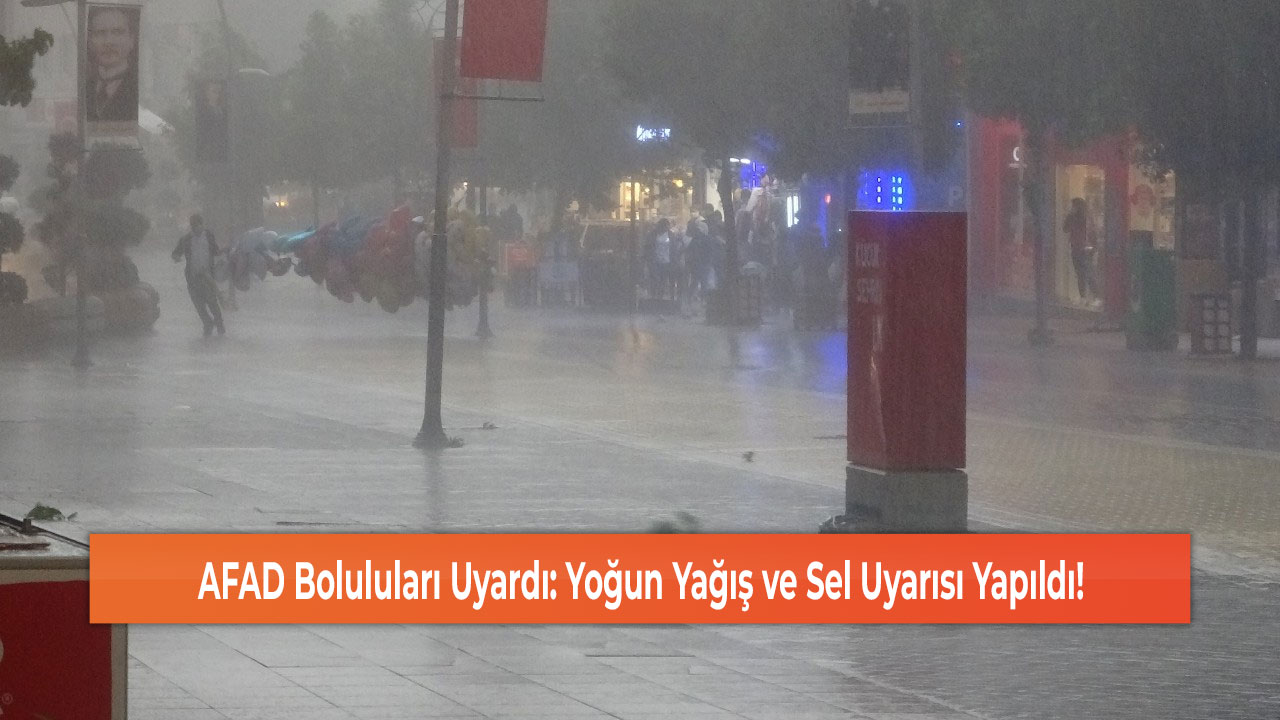 Bolu mgm