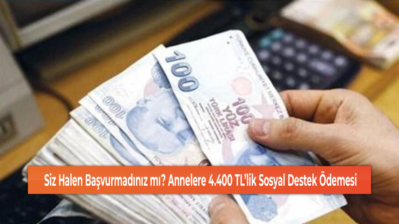 Siz Halen Başvurmadınız mı? Annelere 4.400 TL’lik Sosyal Destek Ödemesi