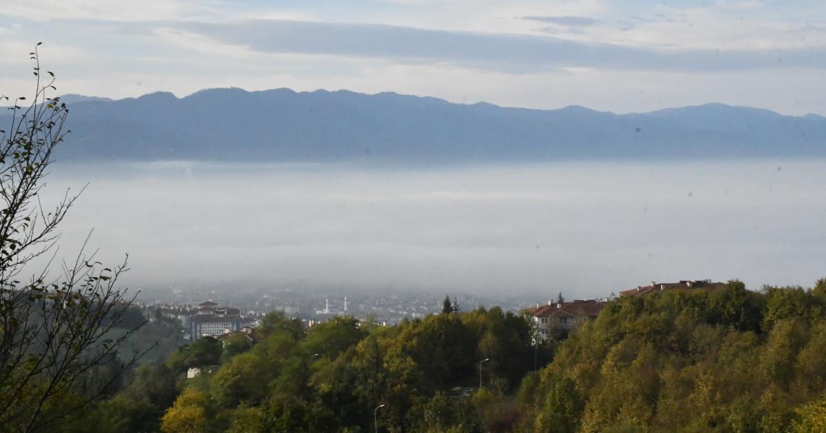 duzce sisli bir gune merhaba dedi TZTPziRi.jpg