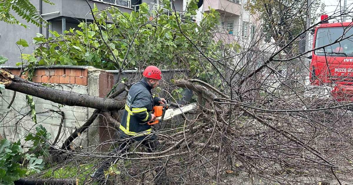 duzcede firtina mucadele malzemeler uctu agaclar devrildi J5pKRJgs.jpg