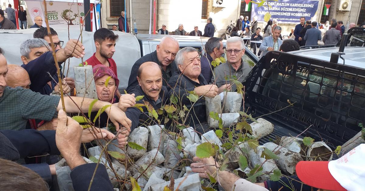 zonguldakta vatandaslara binlerce fidan dagitildi a32XTJHD.jpg