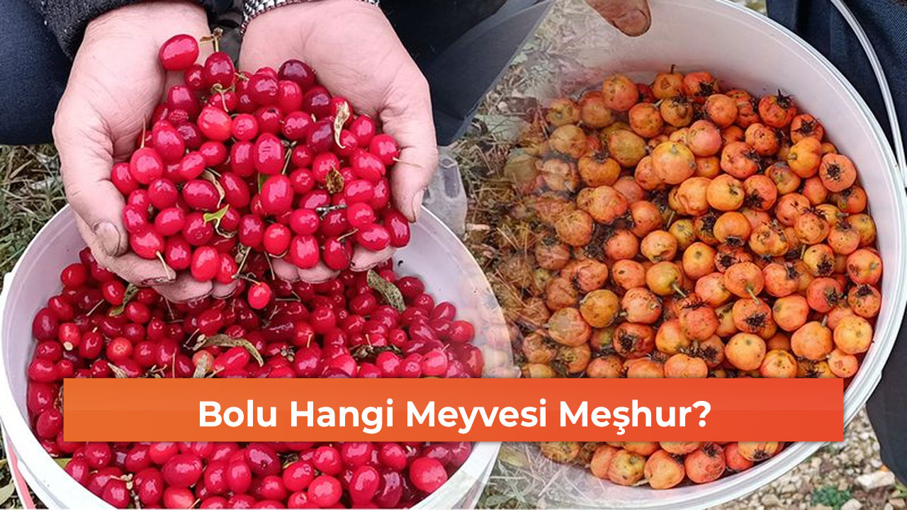 Bolu Hangi Meyvesi Meşhur?