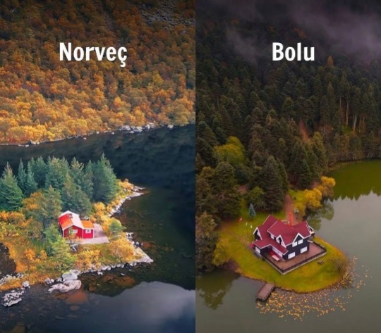 Golcuk Bolu Norvec