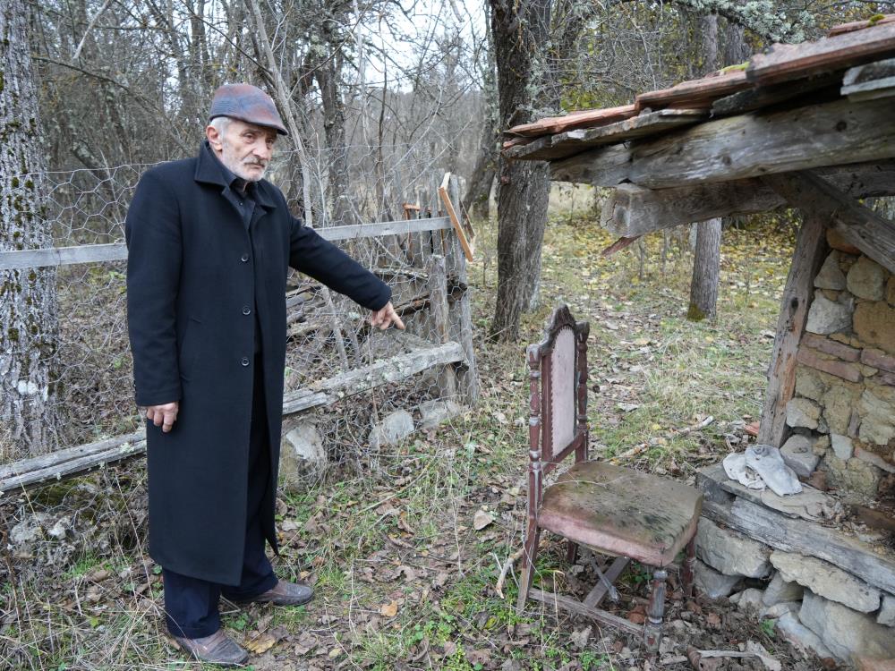 Kastamonu Ayi Saldirisi 4