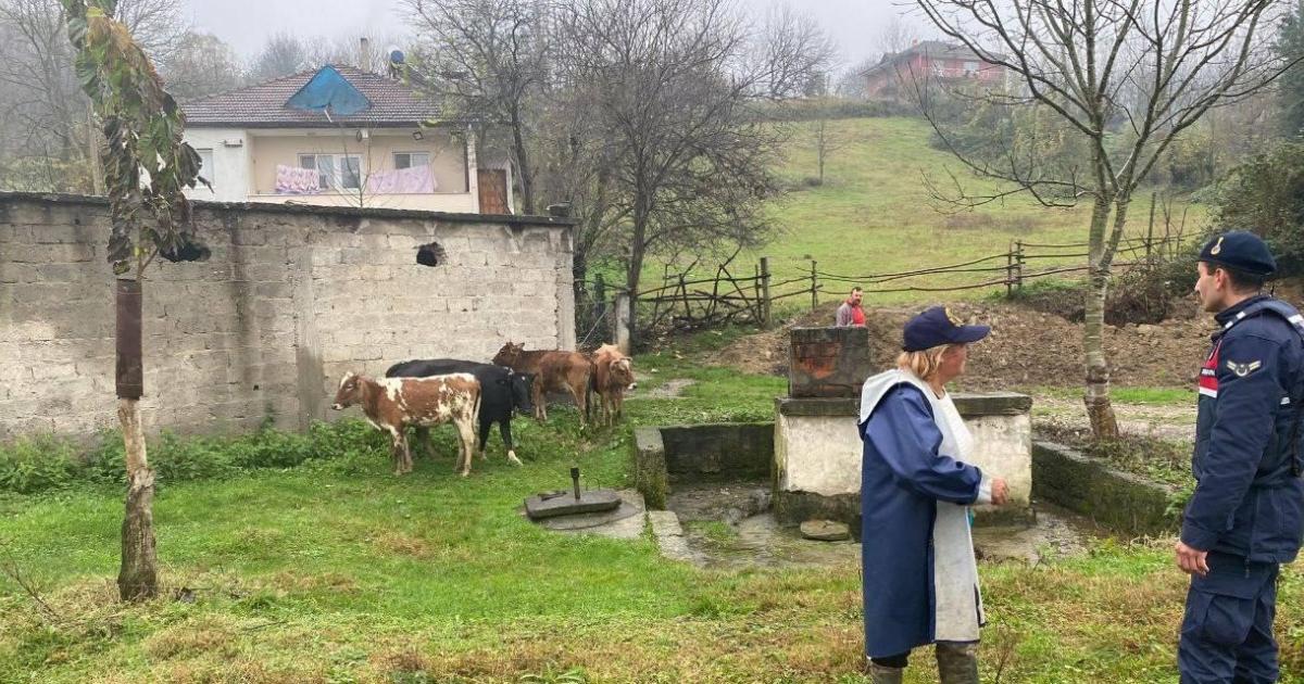 zonguldakta kaybolan buyukbas hayvanlar sahibine teslim edildi z8fimKj4.jpg