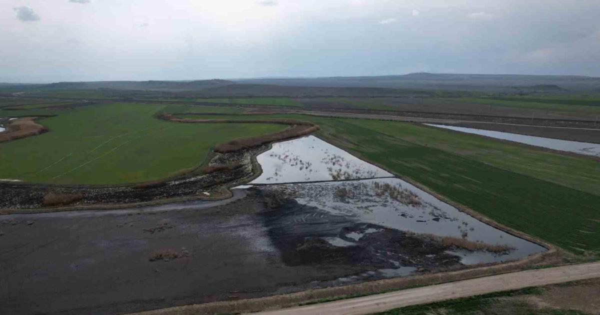 ankara polatlida cevre felaketi atiklar tarlaya dokuluyor fCdbsImO.jpg