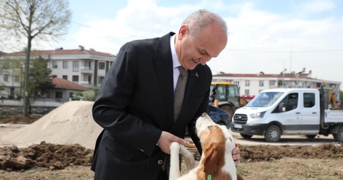 basibos ve saldirgan kopek sorunu kokten cozulecek duzceden turkiyeye ornek cozum eYsJR9Q7.jpg