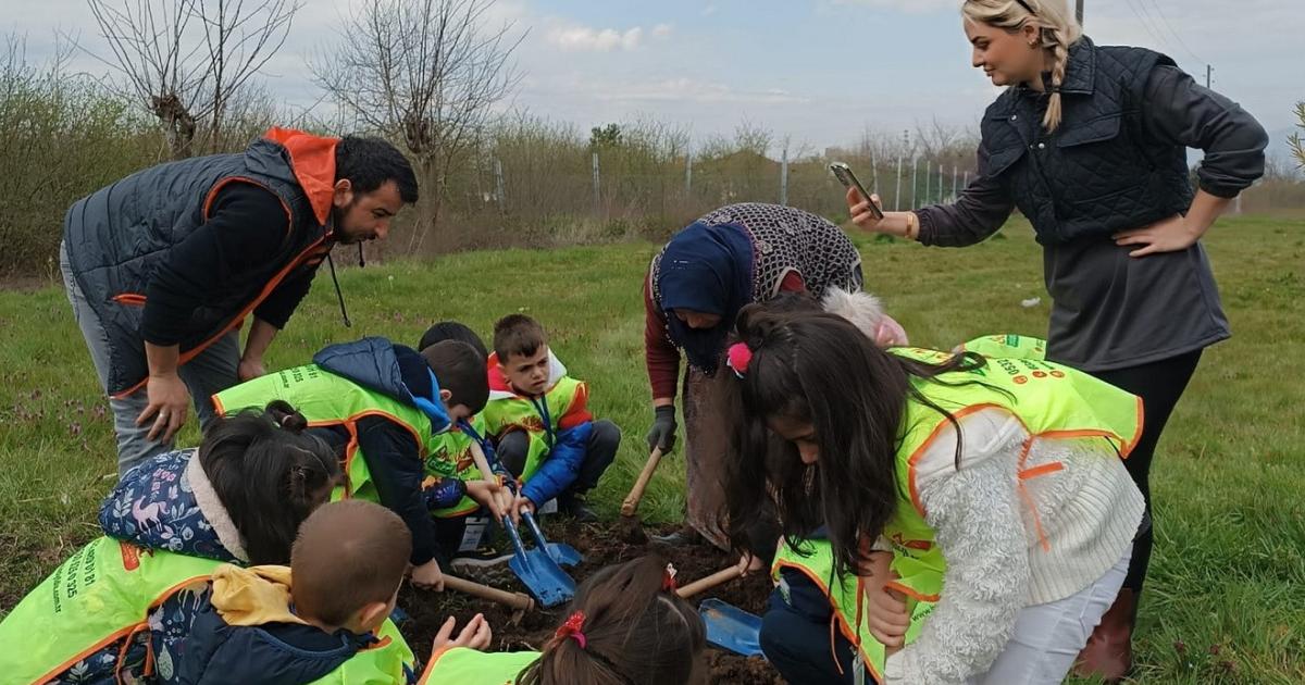 duzcede minikler fidanin agaca donusunu inceledi SLsshrGj.jpg