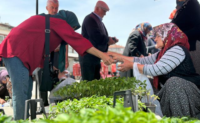 Bolu Belediyesi Fide Desteği