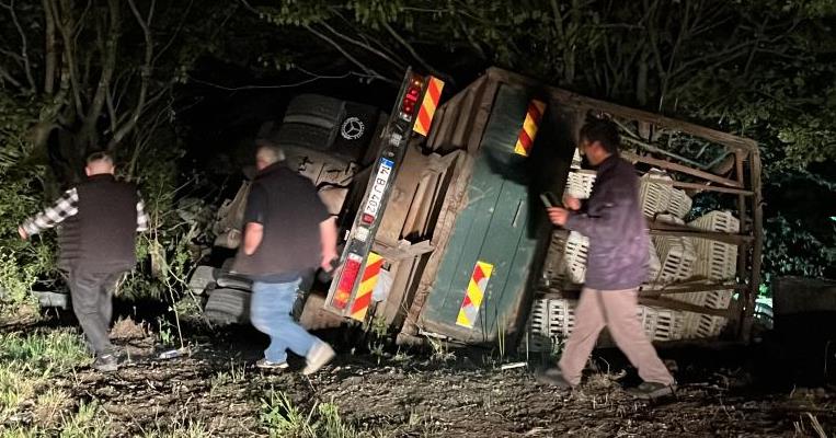 Bolu'da Uçuruma Uçan Kamyonda Yüzlercesi Telef Oldu 1