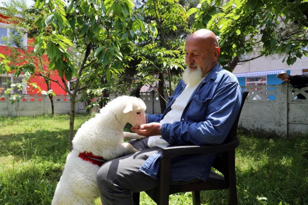 Bolu'dan Sakarya'ya Sıra Dışı Bağ