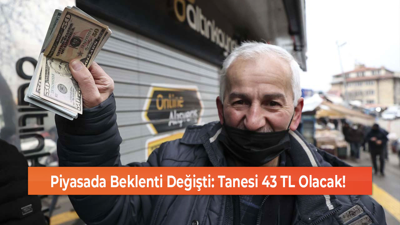 Piyasada Beklenti Değişti Tanesi 43 TL Olacak