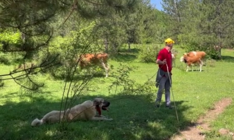 Bolu Mengen'de Köylülerin Yolculuğu Başladı