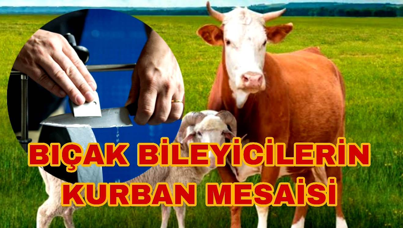 Bolu'da Bıçak Bileyicilerin Kurban Mesaisi