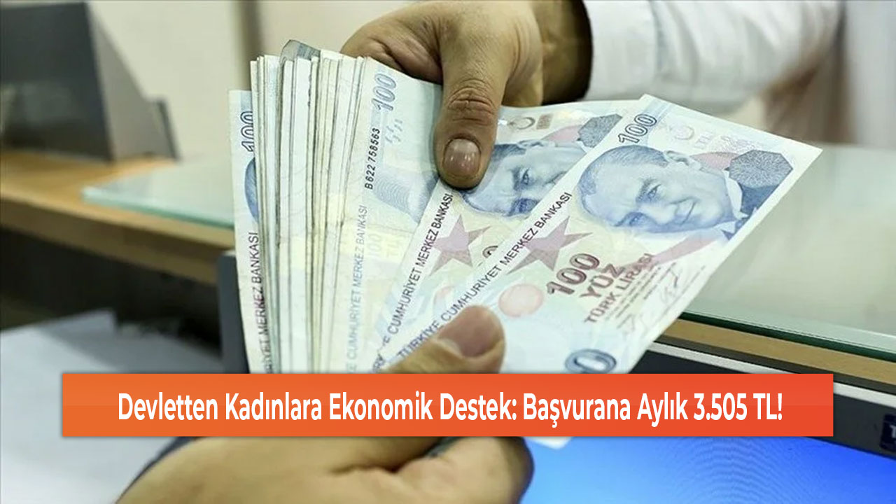 Devletten Kadınlara Ekonomik Destek Başvurana Aylık 3.505 TL