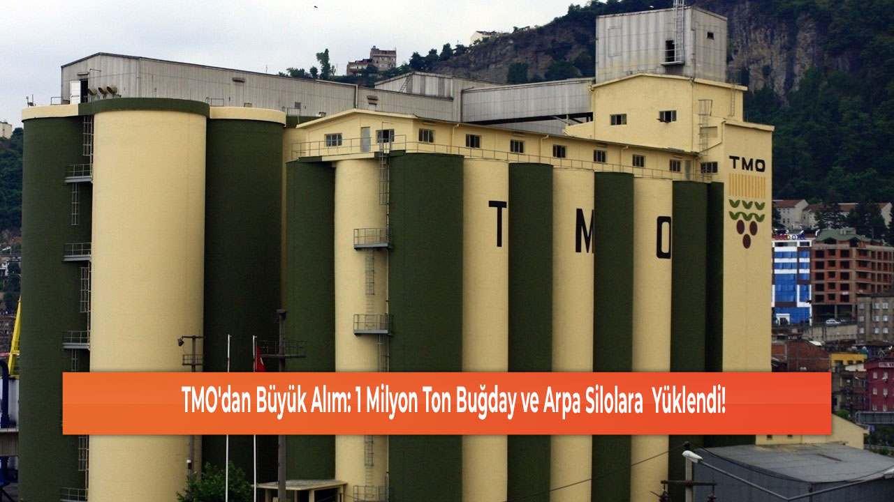 TMO'dan Büyük Alım 1 Milyon Ton Buğday ve Arpa Silolara Yüklendi