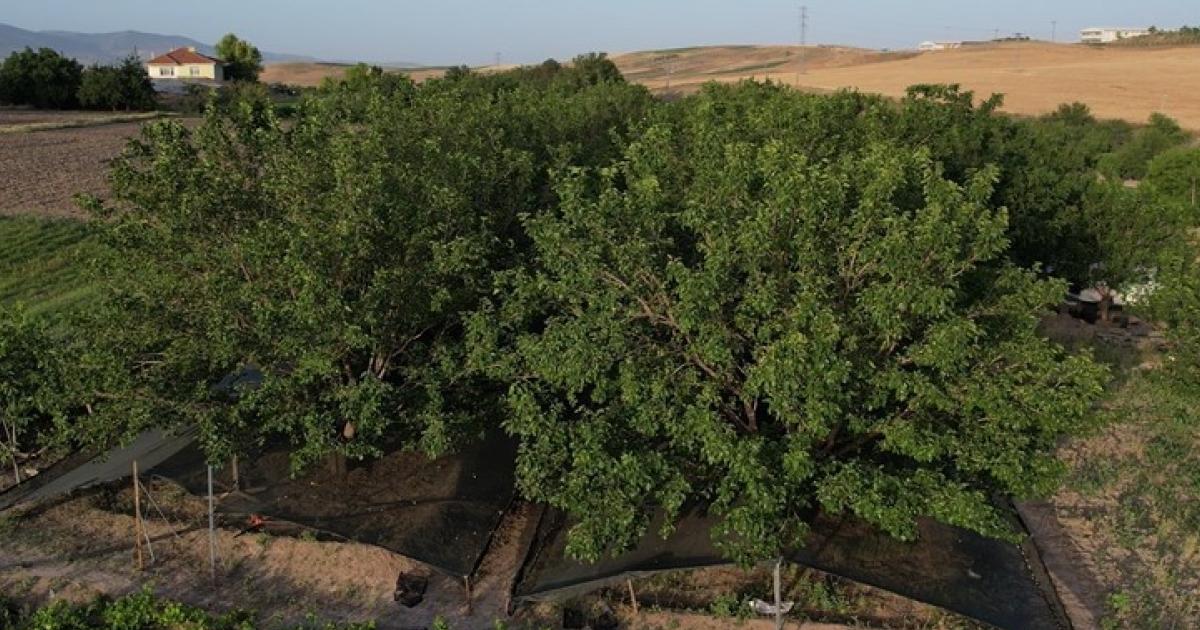 ankara ayasta merakla bekleniyordu nihayet basladi T7A7LXRH.jpg