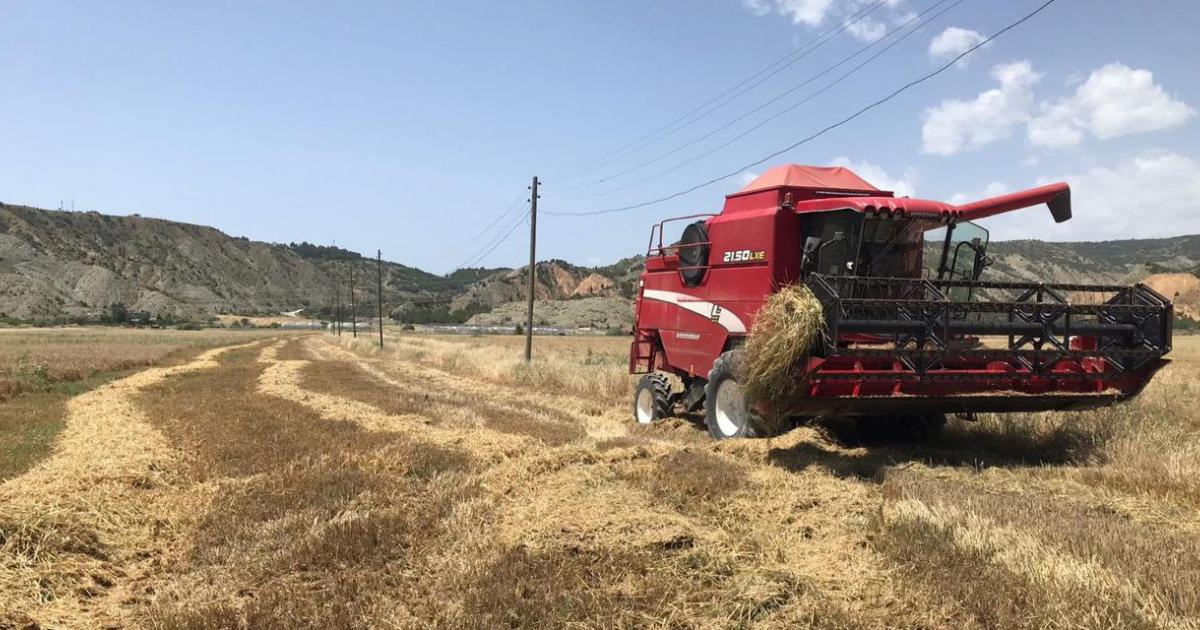 corumun dodurga ilcesinde arpa hasadi basladi aR7SKYbA.jpg