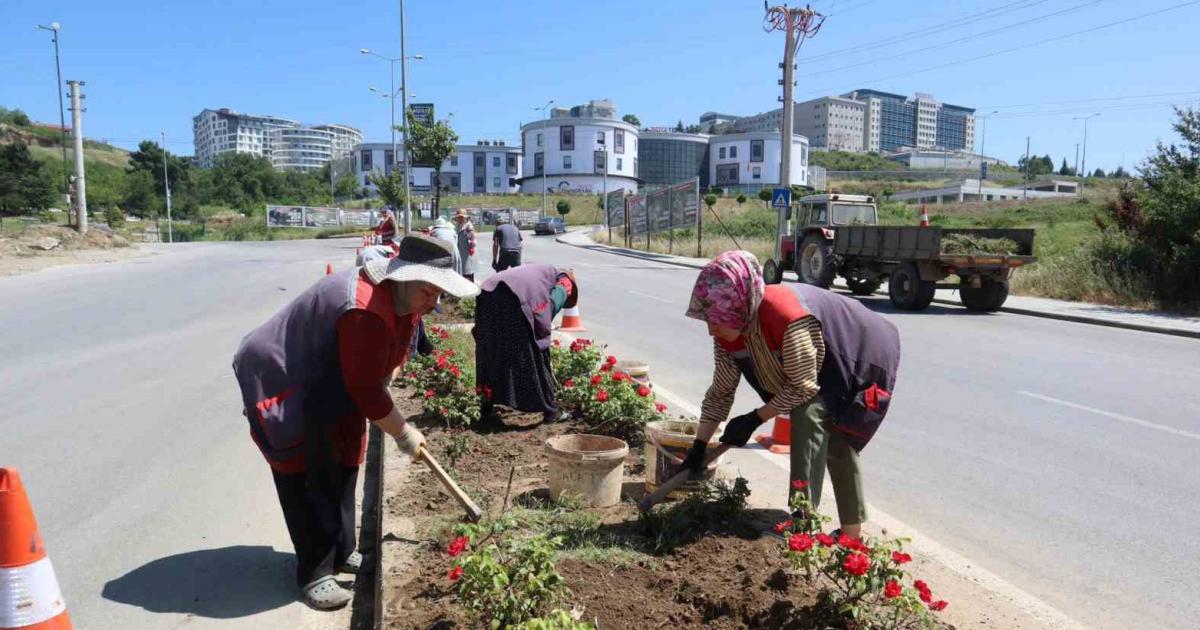 duzcede gorsel solen estetik devrim qrhIFch7.jpg