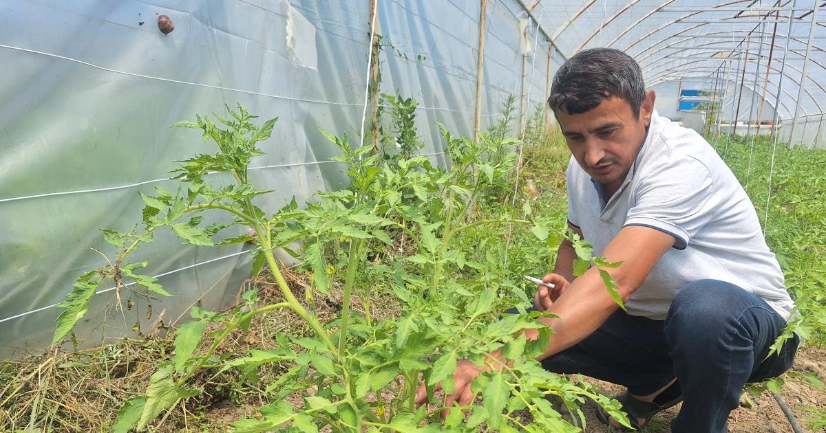 zonguldakta emekli madenci ornek oluyor PlQkBHiw.jpg