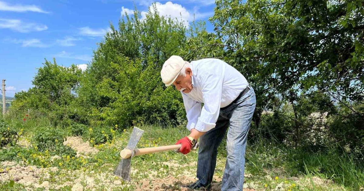 80 yasinda tarlada genclere tas cikartiyor calismadan duramiyorum relEkIXr.jpg