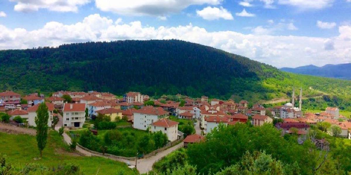 Ankara Kizilcahamam Alibey Koyu