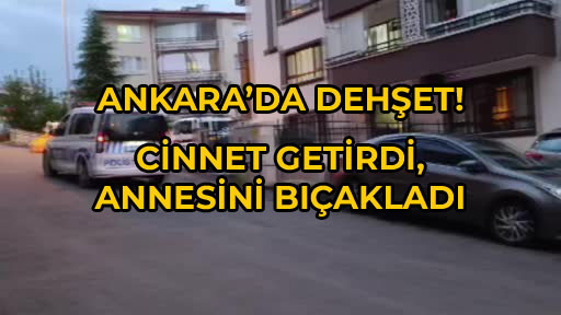 Ankara Mamak'ta Dehşet: Cinnet Getirdi, Annesini Bıçakladı