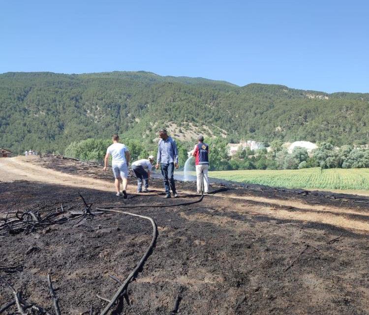 Bolu'da Çıkan Yangın Korkuttu 1