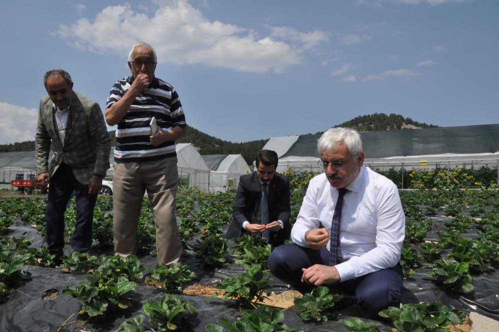 Bolu'da 'Hünerli Eller' Projesi İlgi Gördü 1