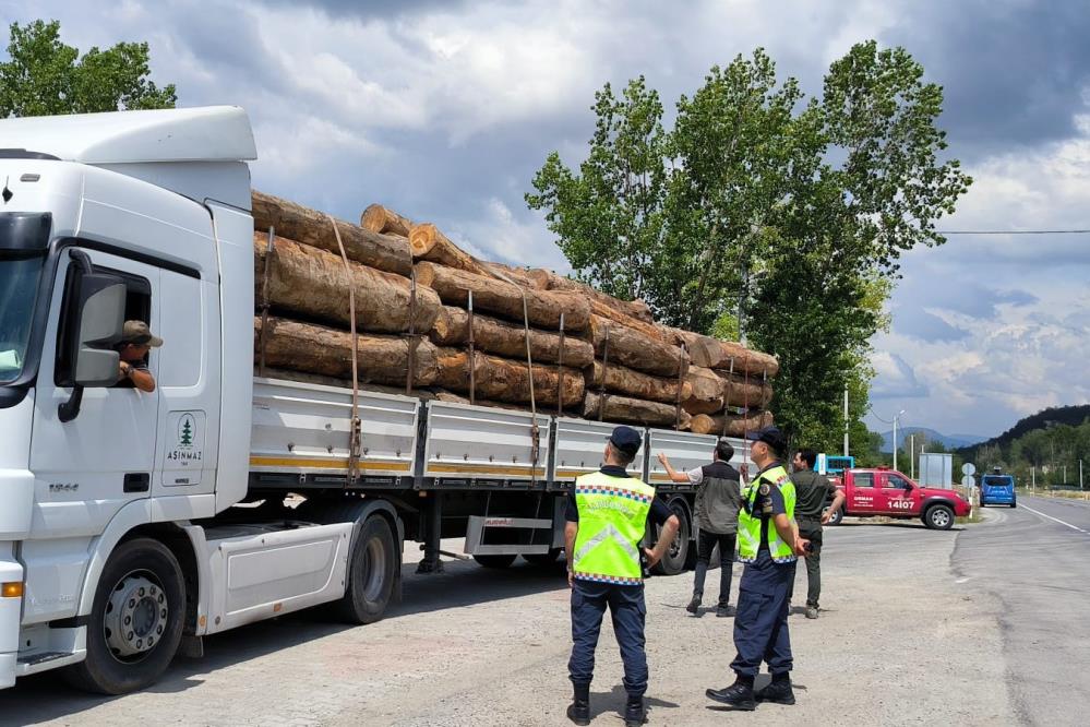 Bolu'da Kaçak Orman Emvaline Geçit Yok