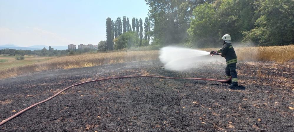 Bolu'da Kopan Elektrik Kablosu Tarlayı Küle Çevirdi