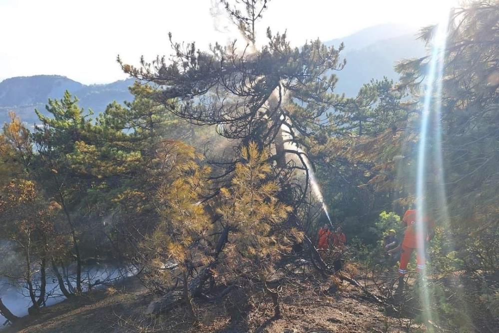 Bolu'da Orman Yangınına Hızlı Müdahale!