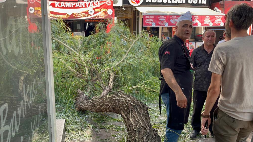 Bolu’da Yaya Yoluna Ağaç Düştü