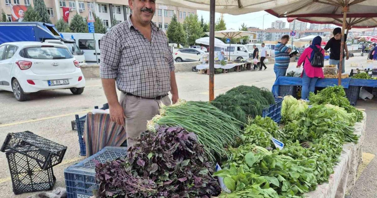 ankara sincanda haftanin 4 gunu ulasilabiliyor WIIIveYm.jpg