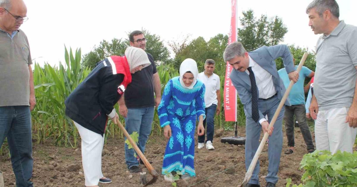 duzcede baga bak uzum olsun dediler yuzde 100 destek verdiler D47Hsas4.jpg