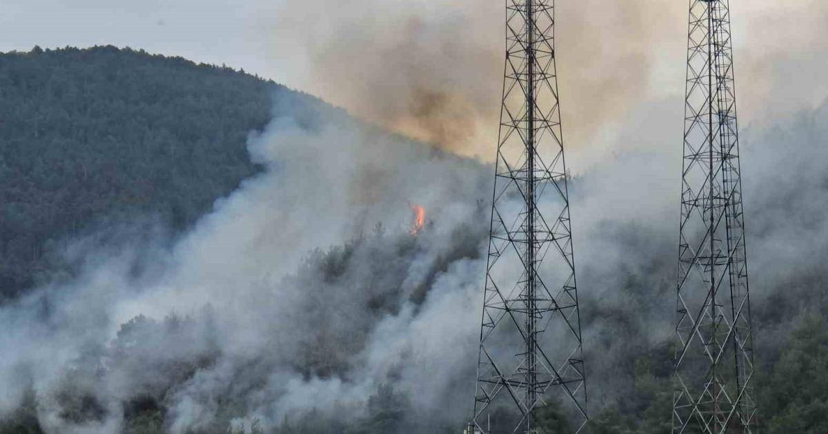 son dakika karabukte orman yangini suruyor yKhBaIjv.jpg