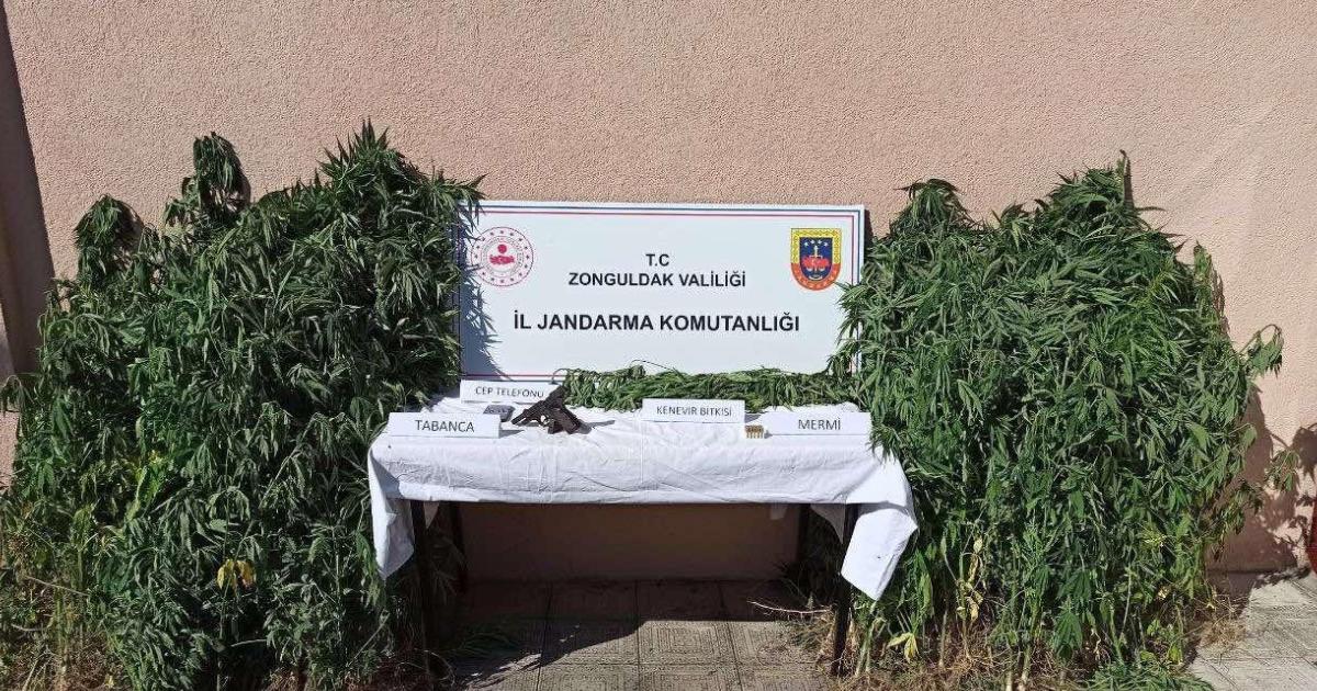 zonguldak jandarmasindan es zamanli operasyon 3 kisi tutuklandi IV7ImN7n.jpg