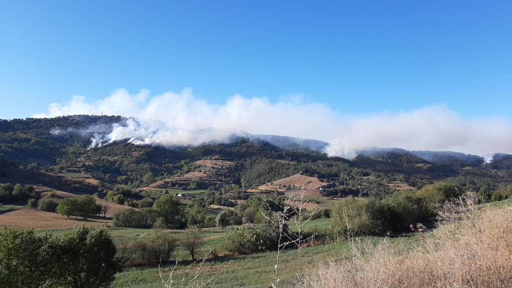 Bolu Göynük Orman Yangını