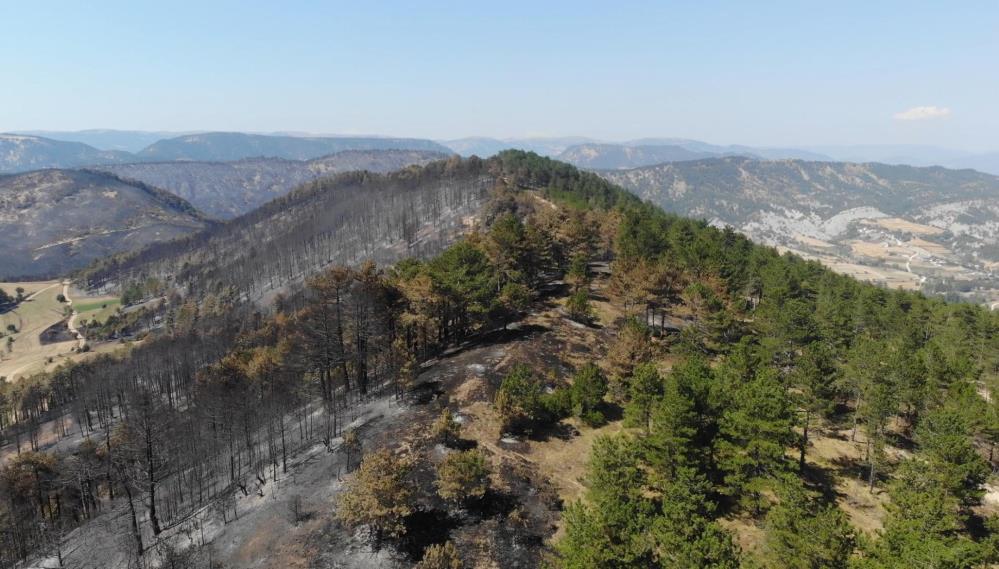 Bolu Göynük Yangın 1