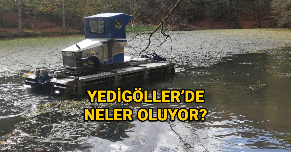 Bolu Yedigöller Göl Temizliği